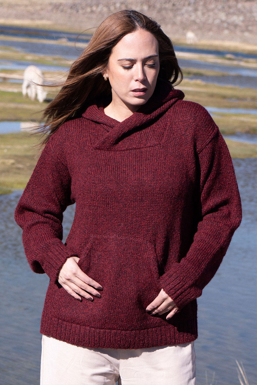 Briana Alpaca Hoodie Pullover