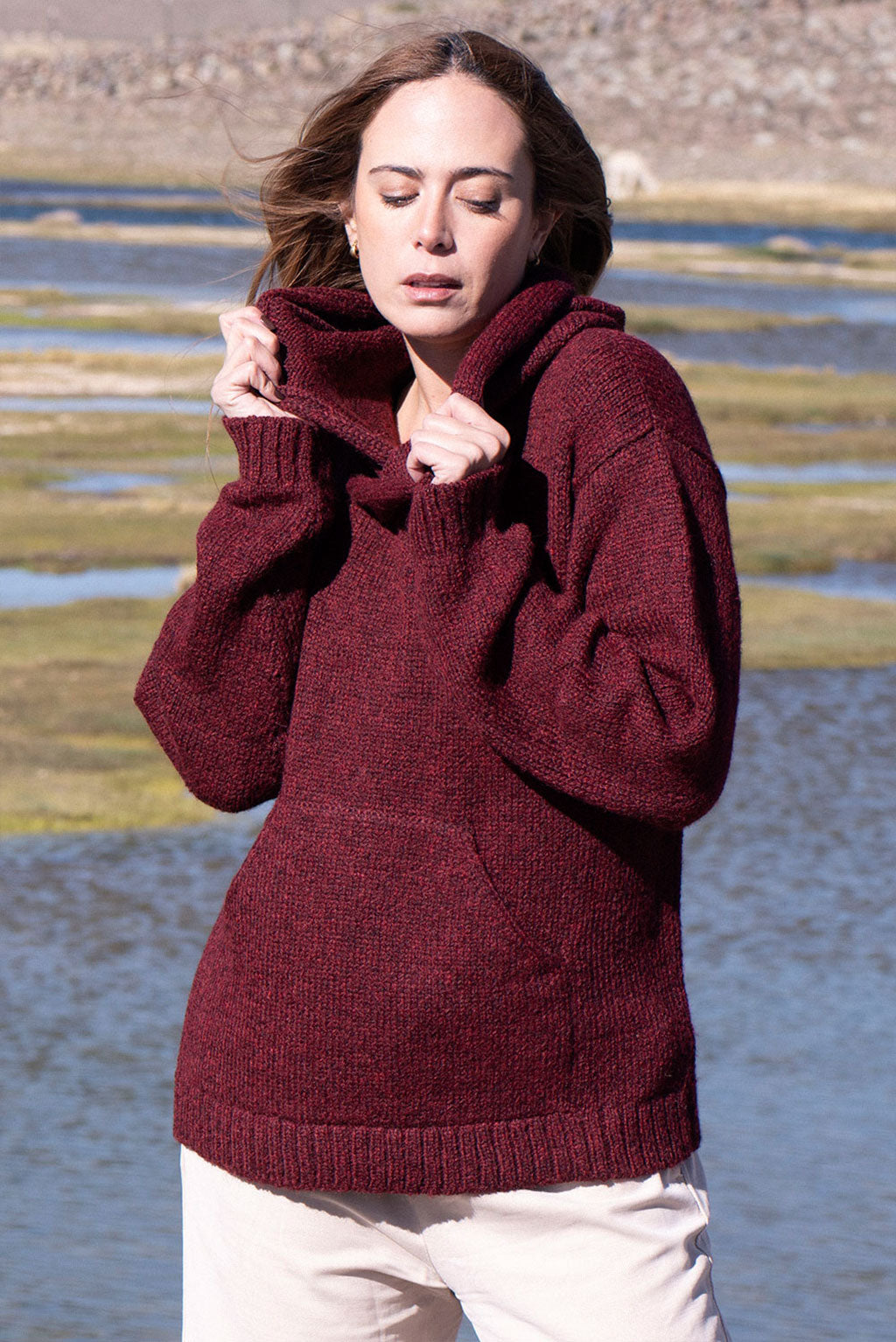 Briana Alpaca Hoodie Pullover