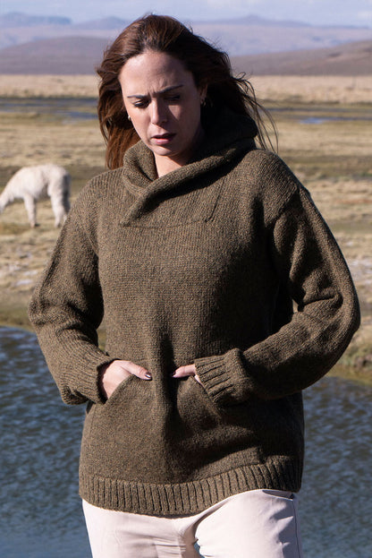 Briana Alpaca Hoodie Pullover