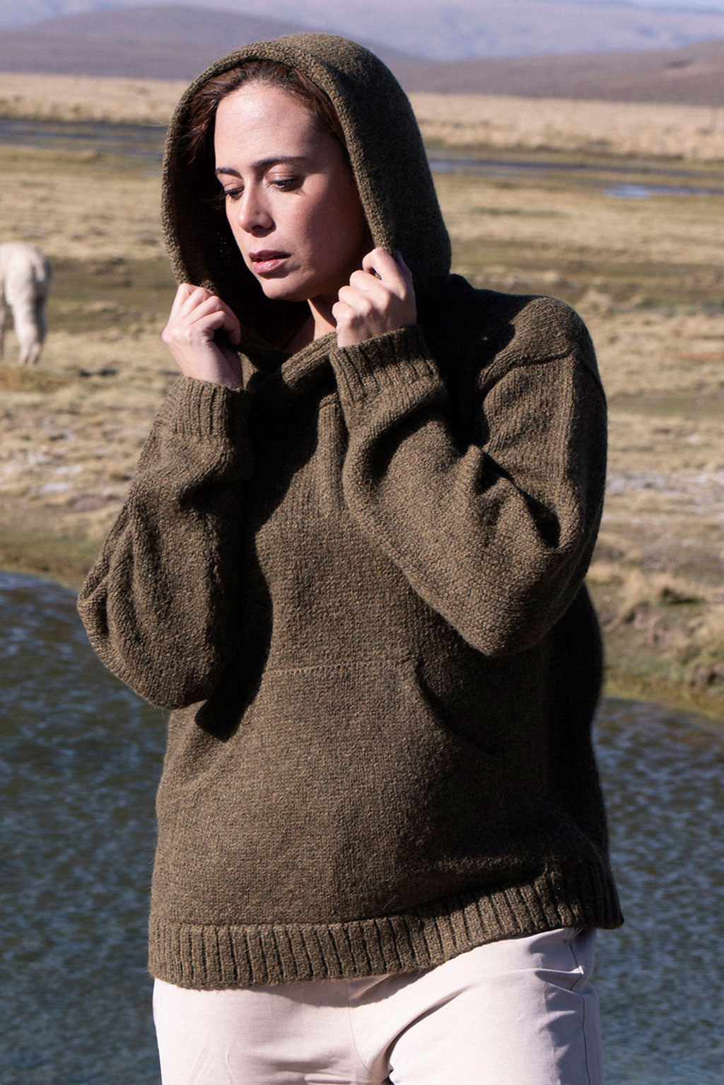 Briana Alpaca Hoodie Pullover